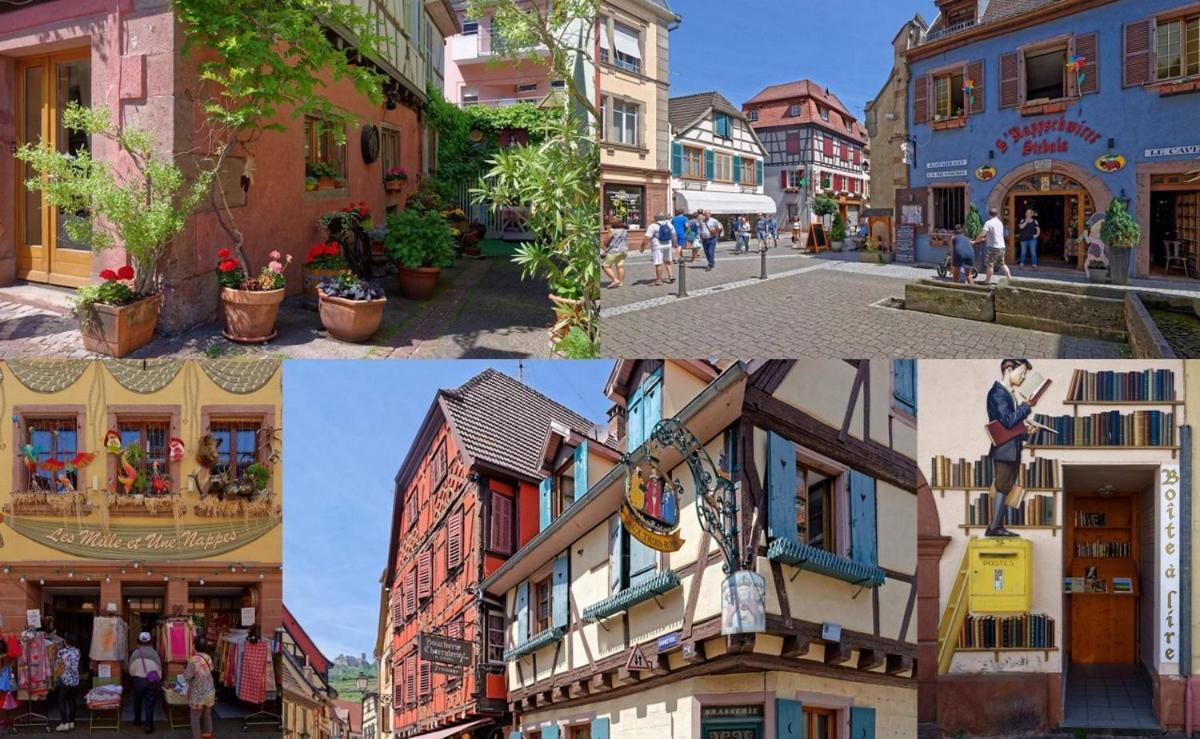 Le Studio Stanislas Colmar Dış mekan fotoğraf